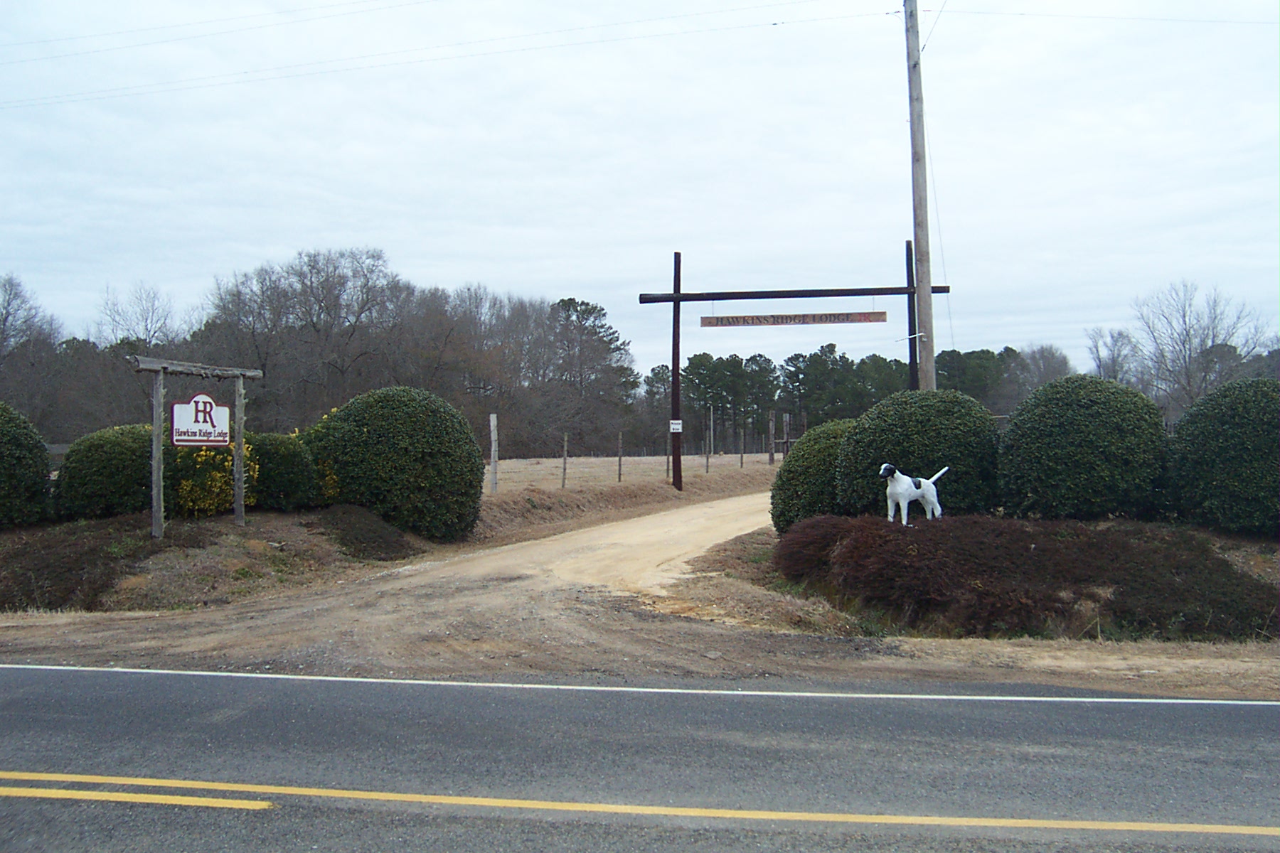 Alabama Hunting Lodge Alabama Exotic Hunts