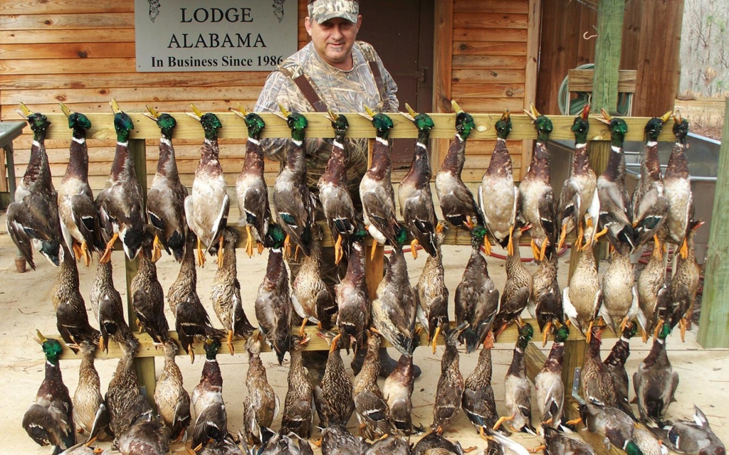Duck hunting trips Alabama Exotic Hunts