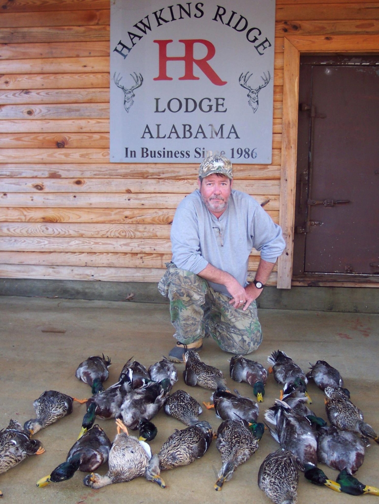 Mallard Duck Alabama hunts Alabama Exotic Hunts