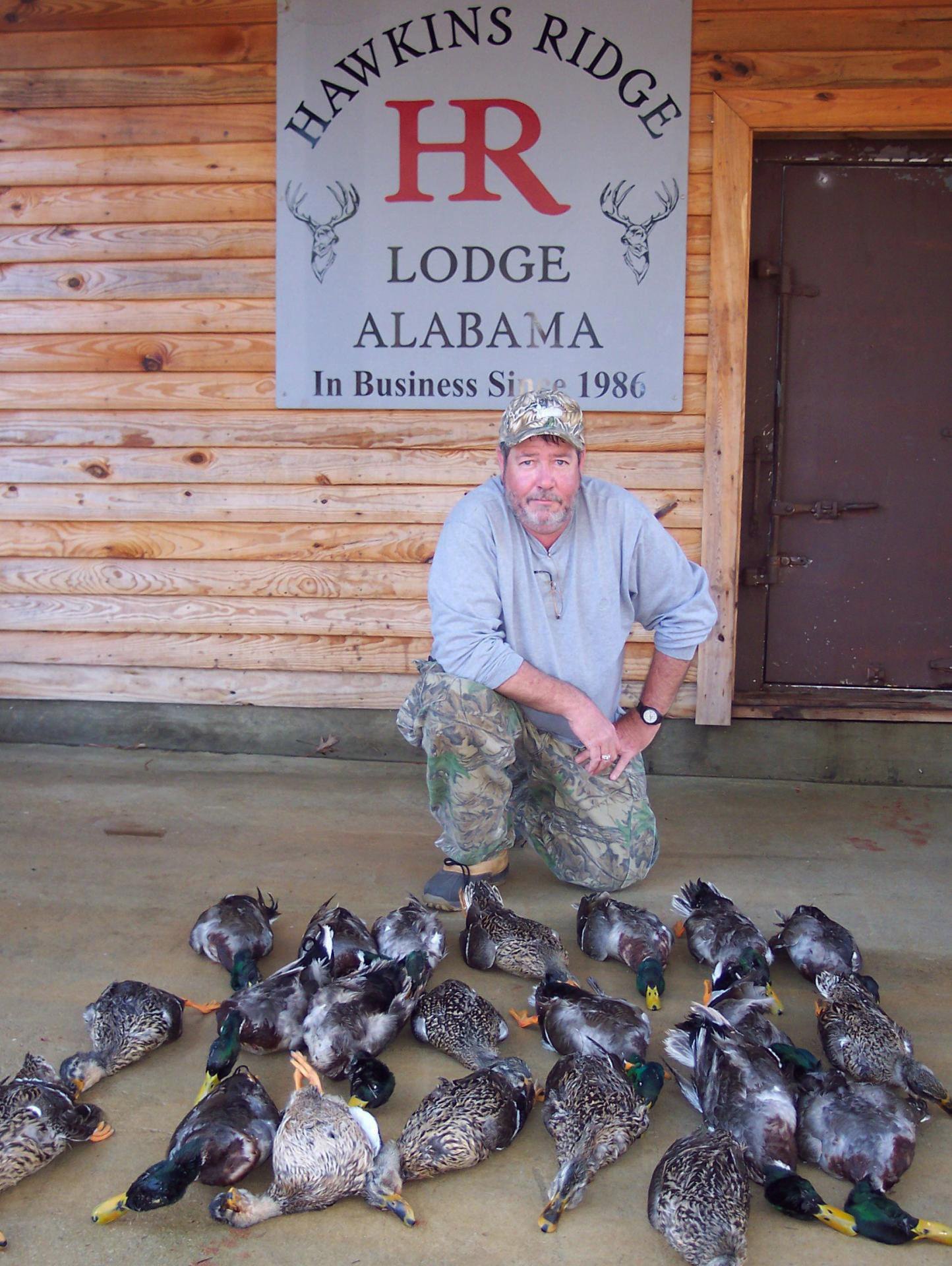 Mallard Duck Alabama Hunts Alabama Exotic Hunts Mallard Duck Alabama Hunts Alabama Exotic Hunts
